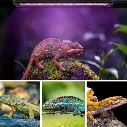 30cm Adjustable Reptile 5.0UVA UVB Lamps LED Light for Reptile Tanks Pet Lighting System - Image 4