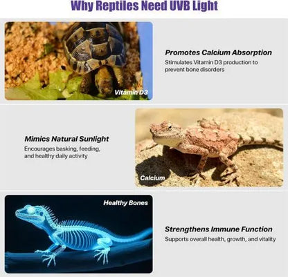40cm Adjustable Reptile 5.0UVA UVB Lamps LED Light for Reptile Tanks Pet Lighting System - Image 7