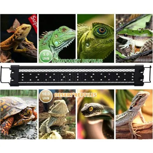 30cm Adjustable Reptile 10.0UVA UVB Lamps LED Light for Reptile Tanks Pet Lighting System - Image 5