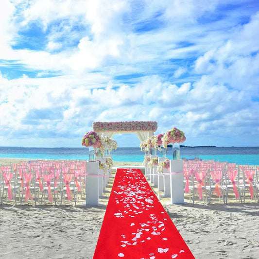 10M Red Carpet Aisle Runner Awards Night Casino Wedding Party Event Mats Decor - Image 5