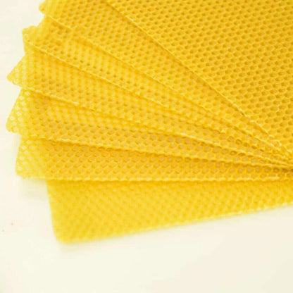 30Pcs Bee Hive Wax Honeycomb Bee Hives Beekeeping Equipment Frames Foundation - Image 4