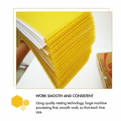 30Pcs Bee Hive Wax Honeycomb Bee Hives Beekeeping Equipment Frames Foundation - Image 6