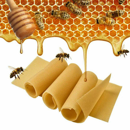 30Pcs Bee Hive Wax Honeycomb Bee Hives Beekeeping Equipment Frames Foundation - Image 8