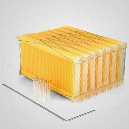 Neweast 7Pcs Flow Bee Comb Hive Frames For Wooden Beekeeping Beehive House - Image 2