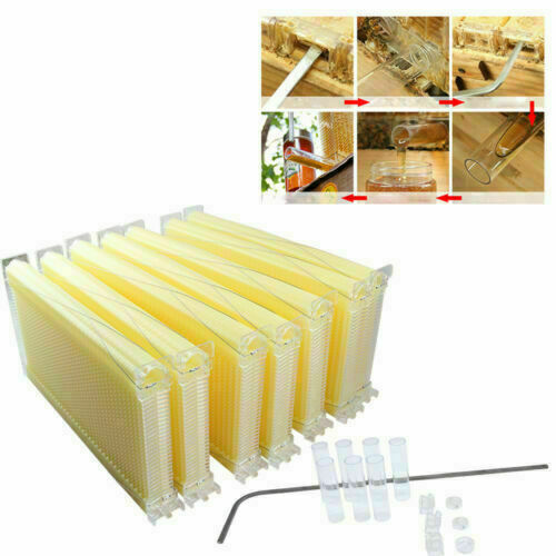 Neweast 7Pcs Flow Bee Comb Hive Frames For Wooden Beekeeping Beehive House - Image 7