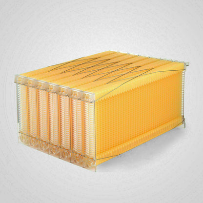 Neweast 7Pcs Flow Bee Comb Hive Frames For Wooden Beekeeping Beehive House - Image 8