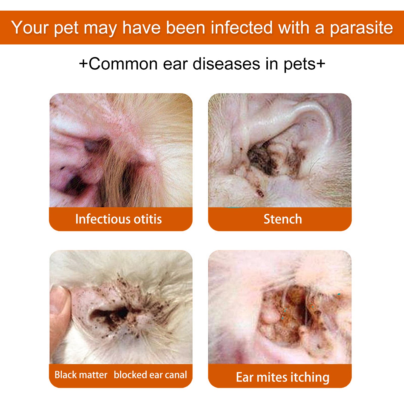 Yegbong Pet Ear Wipes, Pet Ear Cleaning Deodorizing Removing Mite And Earwax Cleaning Wipes - Image 9
