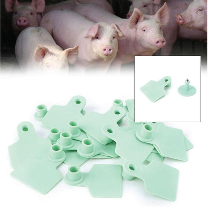 100x Cattle Ear Tags 6x7cm Set - Medium Green Blank Cow Sheep Livestock Label - Image 2