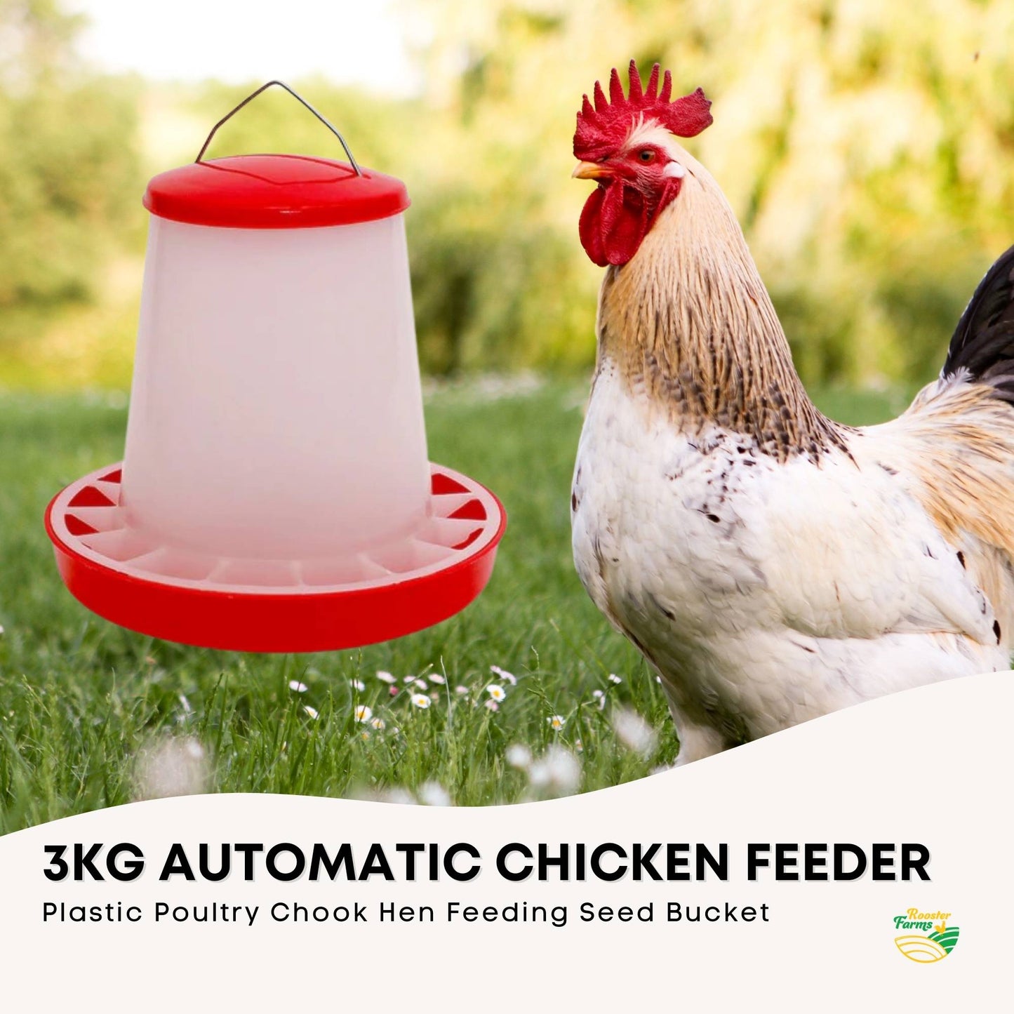 Rooster Farms 3Kg Automatic Chicken Feeder - Poultry Hen Feeding Seed Bucket - Image 2