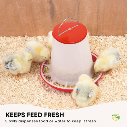 Rooster Farms 3Kg Automatic Chicken Feeder - Poultry Hen Feeding Seed Bucket - Image 4
