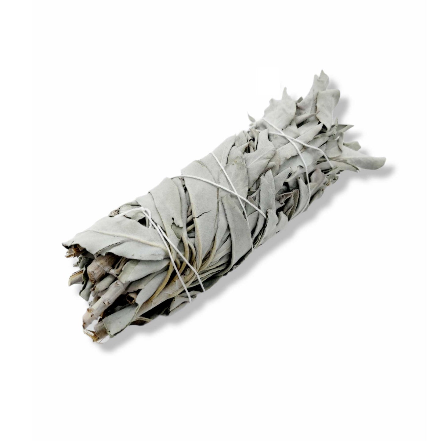 6x Californian White Sage Smudge Sticks Medium 13-15cm Incense Cleansing Bundle - Image 3