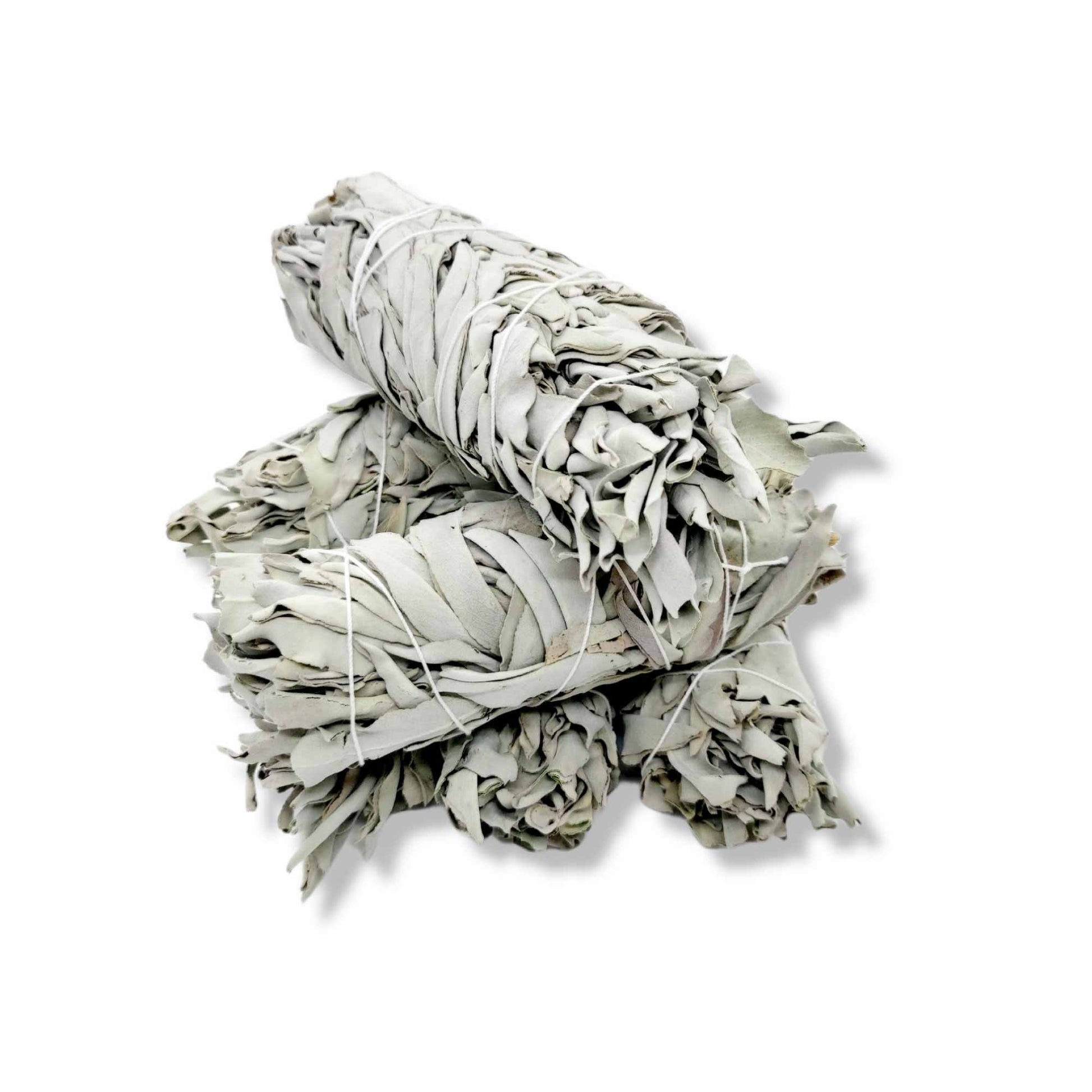 6x Californian White Sage Smudge Sticks Medium 13-15cm Incense Cleansing Bundle - Image 4