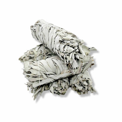 6x Californian White Sage Smudge Sticks Medium 13-15cm Incense Cleansing Bundle - Image 4