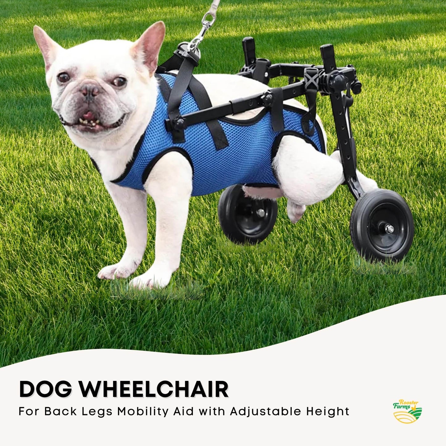 Rooster Farms Little Dog Wheelchair Small Harness - Adjustable Back Leg Aid - Image 3
