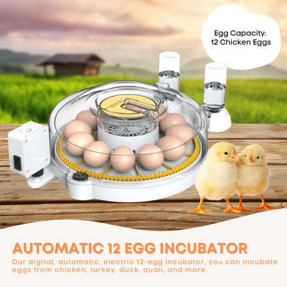 Automatic 12 Egg Incubator - Electric Digital Turning Chicken Quail Duck Hatching - Image 2