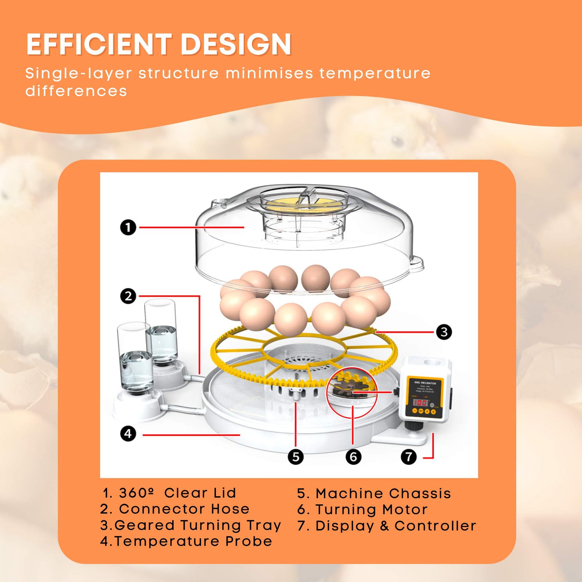 Automatic 12 Egg Incubator - Electric Digital Turning Chicken Quail Duck Hatching - Image 3