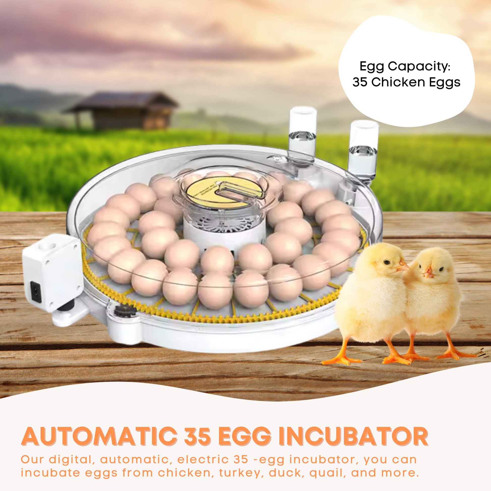 Automatic 35 Egg Incubator - Electric Digital Turning Chicken Quail Duck Hatching - Image 2