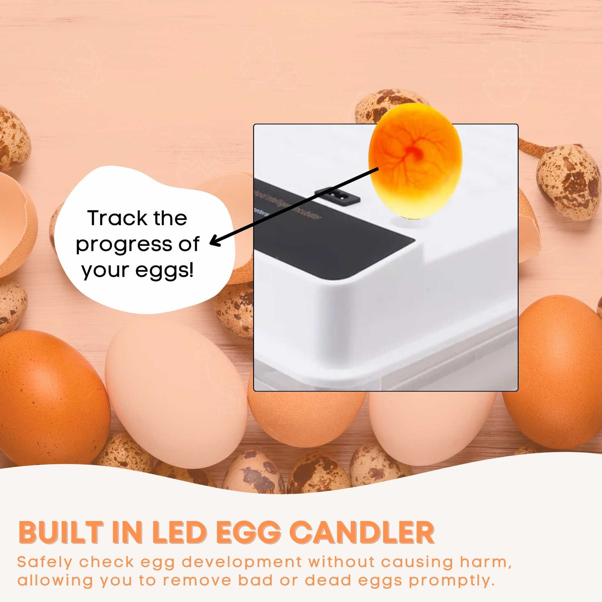 Automatic 48 Egg Incubator - Electric Digital Turning Chicken Quail Duck Hatching - Image 8