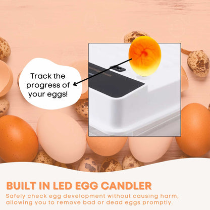Automatic 48 Egg Incubator - Electric Digital Turning Chicken Quail Duck Hatching - Image 8