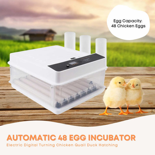 Automatic 70 Egg Incubator - Electric Digital Turning Chicken Quail Duck Hatching - Image 2