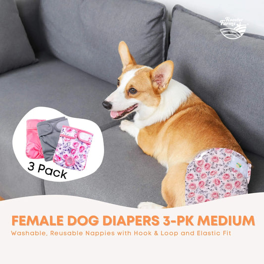 Rooster Farms Female Dog Diapers Medium 3Pk - Washable Reusable Nappy Hook/Loop - Image 2
