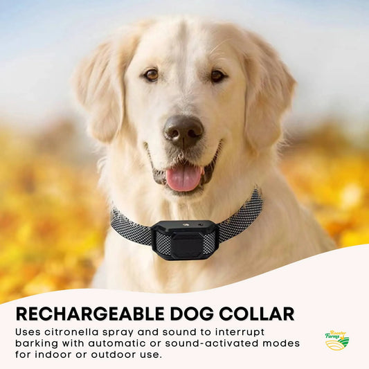Rooster Farms Dog Bark Training Collar Citronella + Sound Rechargeable Automatic - Image 2