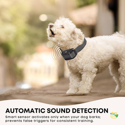 Rooster Farms Dog Bark Training Collar Citronella + Sound Rechargeable Automatic - Image 4