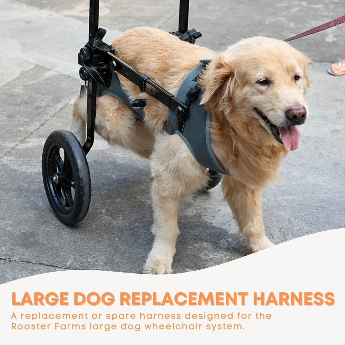 Rooster Farms Replacement Harness for Dog Wheelchair XL - Large Dogs Up to 45Kg - Image 2