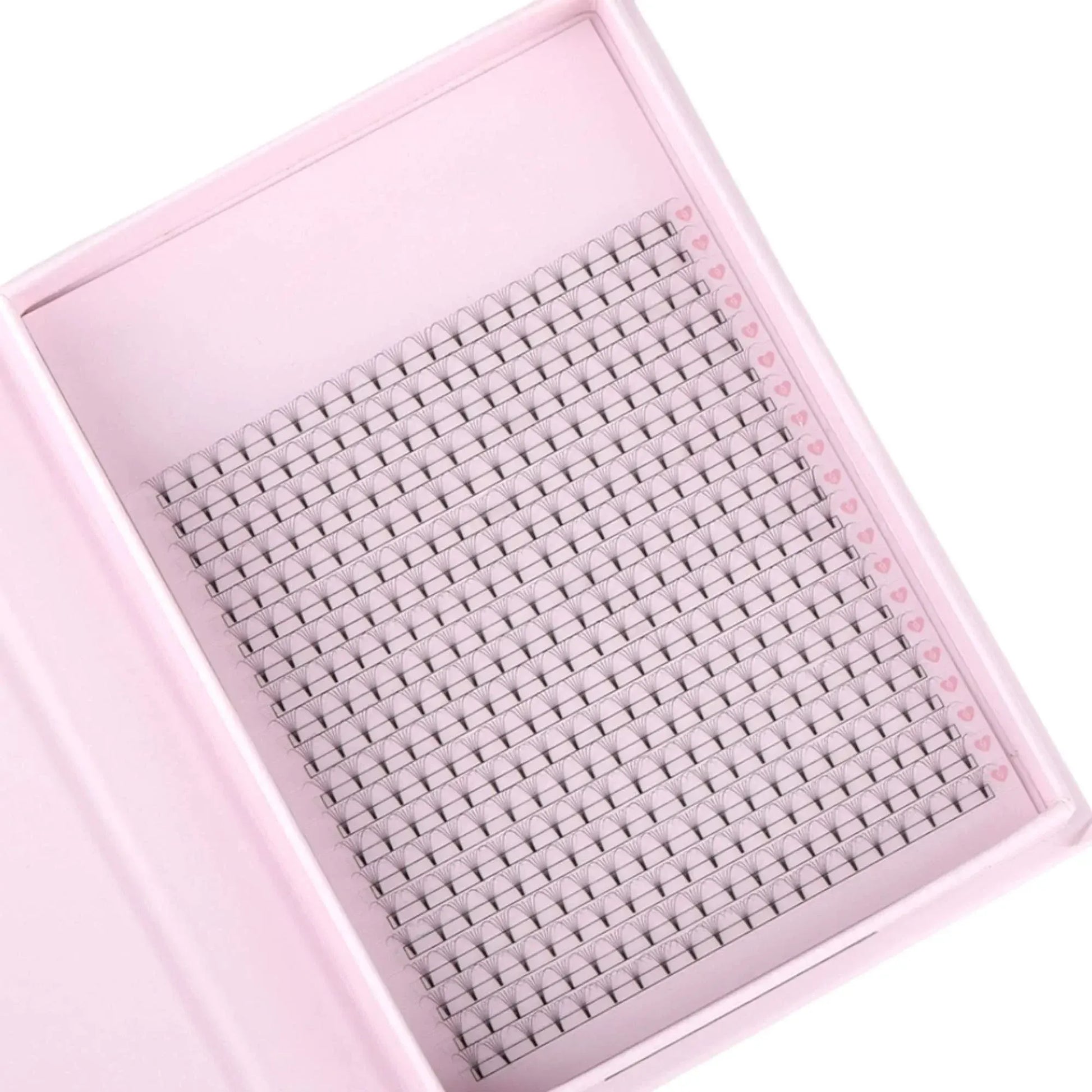 Miosh Eyelash Extensions - XL 6D Premade Volume Short Stem Lash 0.07 / D CURL - Image 4