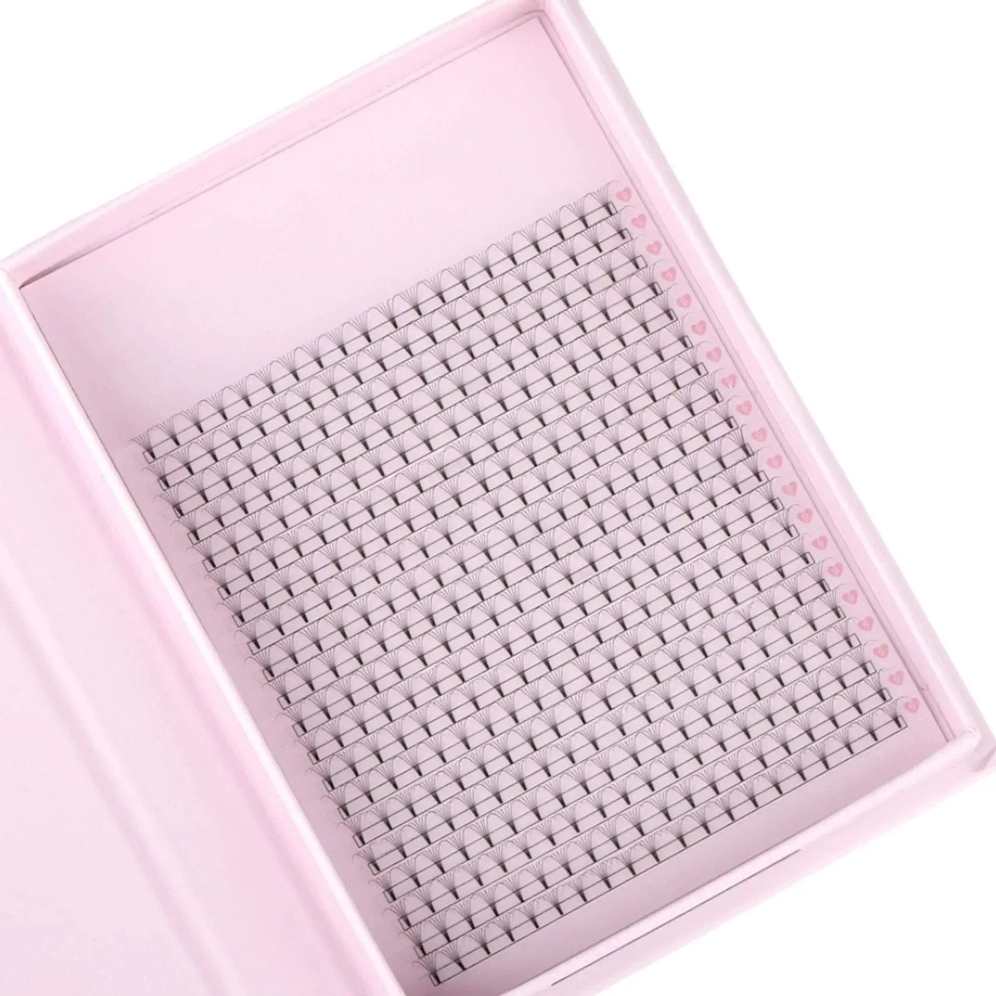 Miosh Eyelash Extensions - XL 6D Premade Volume Short Stem Lash 0.07 / D CURL - Image 4