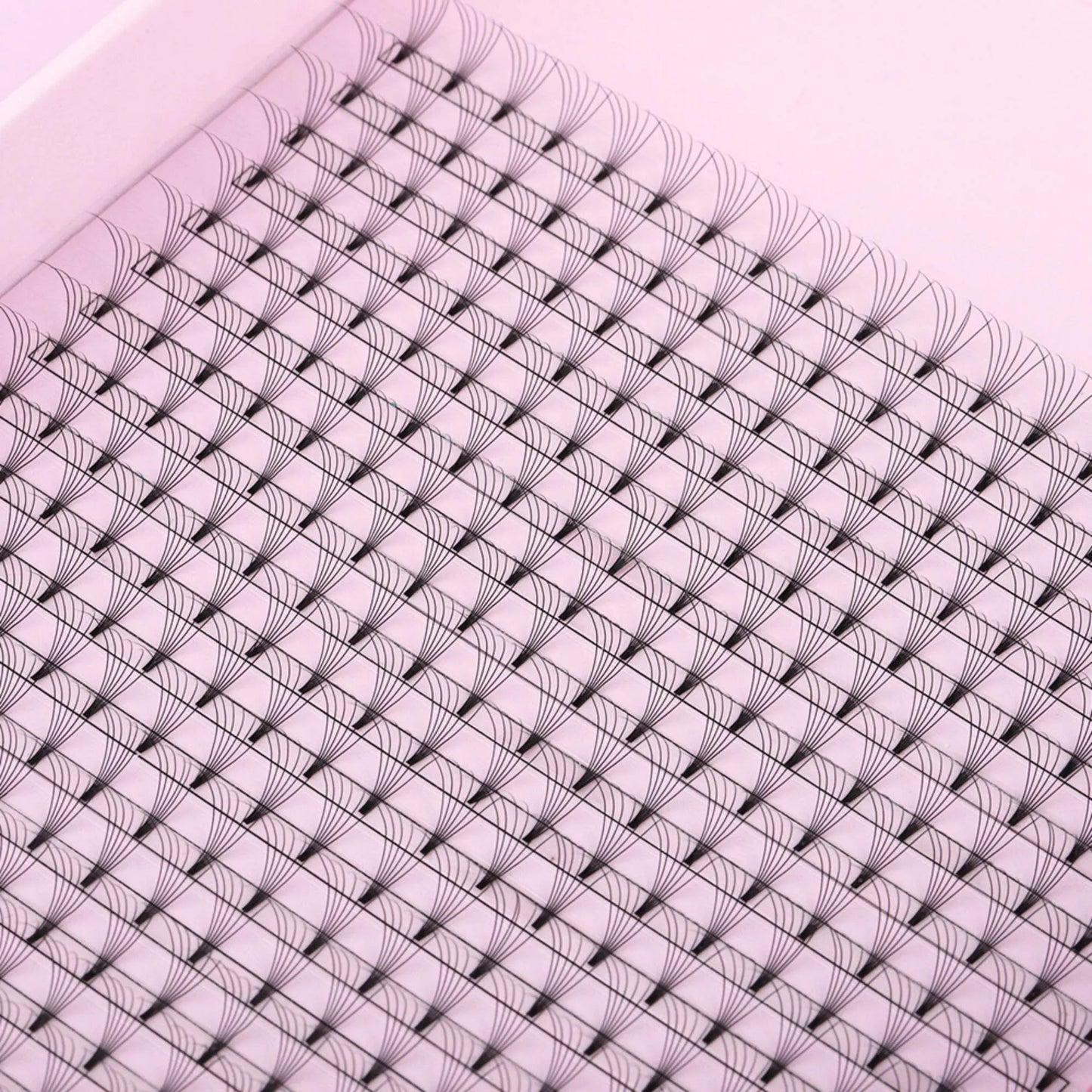Miosh Eyelash Extensions - XL 6D Premade Volume Short Stem Lash 0.07 / D CURL - Image 3