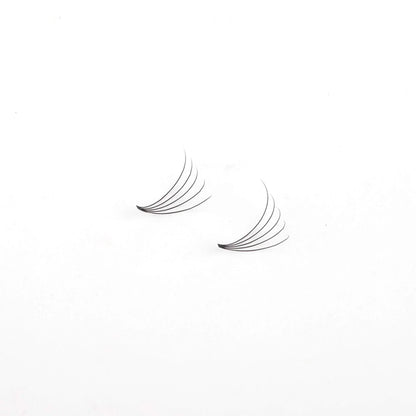Miosh Eyelash Extensions - XL 5D Premade Volume Short Stem Lash 0.10 / D CURL - Image 3