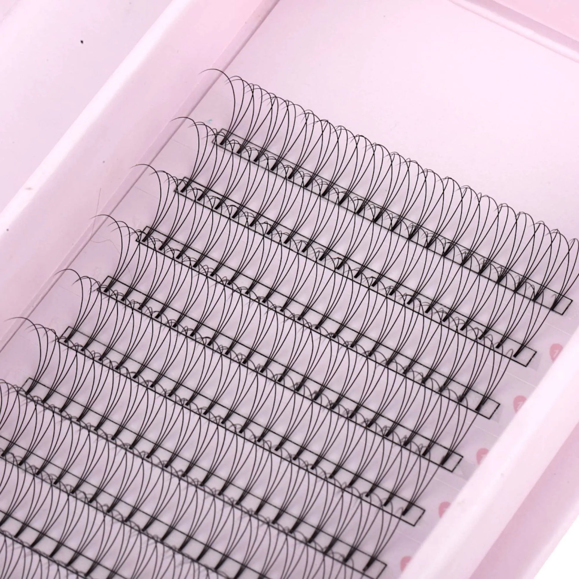 Miosh Eyelash Extensions - 3D Premade Volume Short Stem Eye Lash 0.10 / D CURL - Image 3