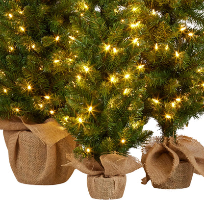 Christabelle Set of 3 Pre-Lit Christmas Trees Green Pine w/LED Lights, Hessian Base & Individual Plugs Varying Heights - Image 5