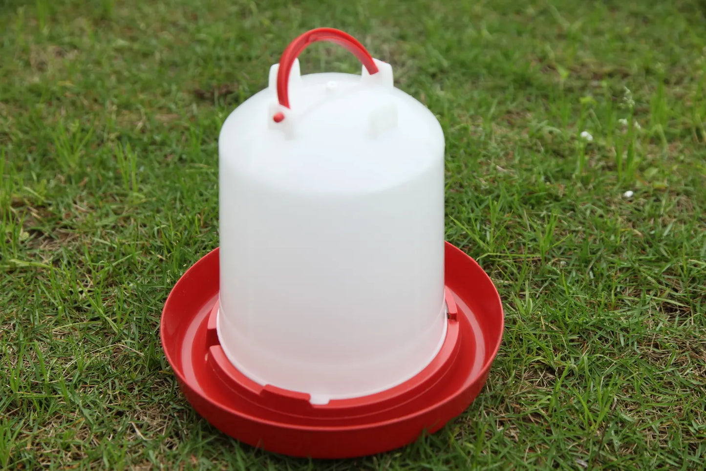 YES4PETS Farm Poultry Bird Chicken Water Drinker 3 L & 3 kg Food Grain Seed Feeder Set - Image 3