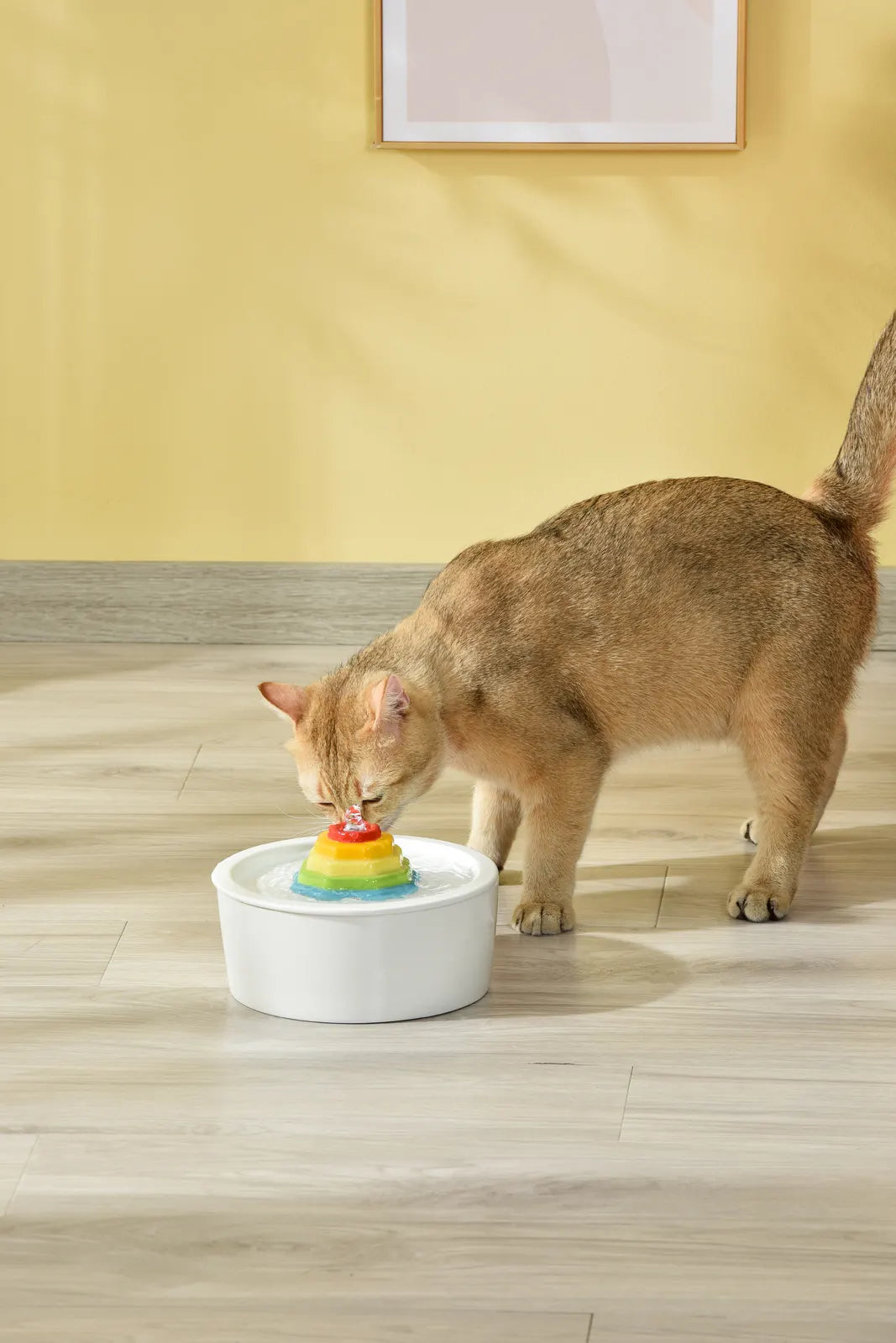 YES4PETS Ceramic Electric Pet Water Fountain Dog Cat Water Feeder Bowl Dispenser - Image 7