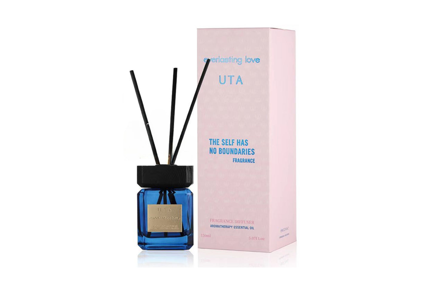 UTA Diffuser No Boundaries
