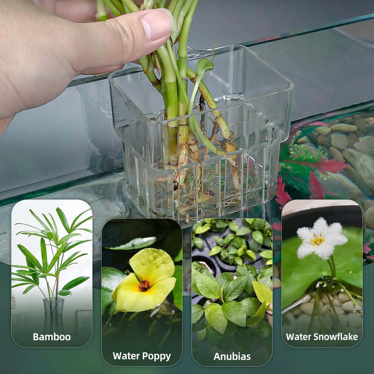 2pc Aquarium Plant Holder Clear Hanging Aquatic Planters with Hooks for Fish Tank Decor - Image 6