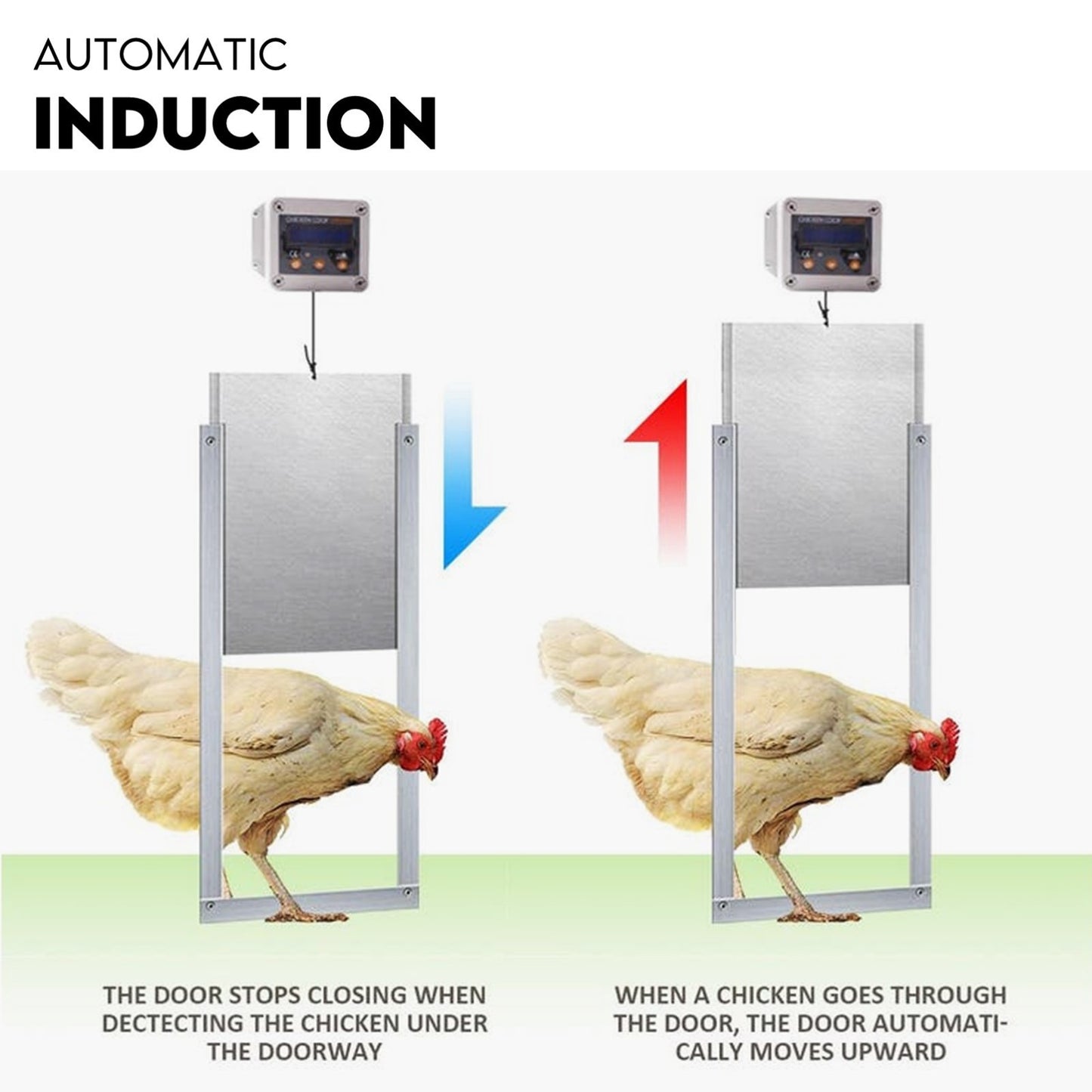 Automatic Chicken Coop Door Opener Cage Closer Timer and Light Sensor - Image 5