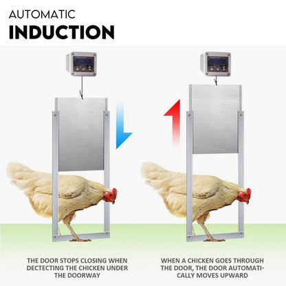 Automatic Chicken Coop Door Opener Cage Closer Timer and Light Sensor - Image 5