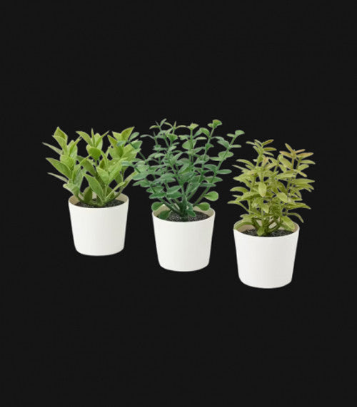 3 Pack of Artificial Herb Potted Plants in White Plastic 5cm Pot Interior Decoration - Image 5