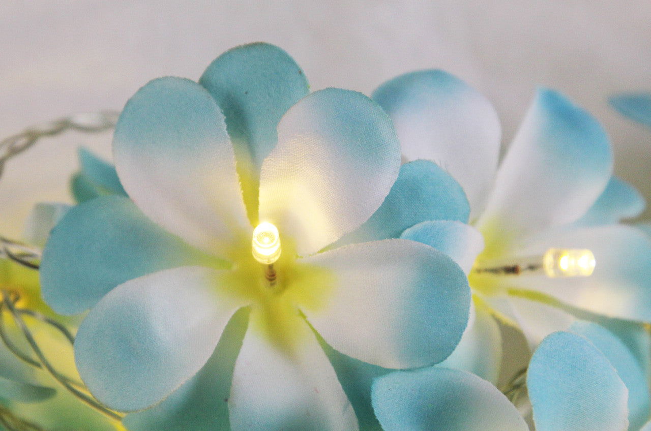 1 Set of 20 LED Tropical Blue Frangipani Flower Battery 3m String Lights Christmas Gift Home Wedding Beach Party Decoration Outdoor Table Centrepiece - Image 5