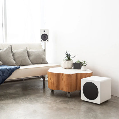 Kanto SUB8 300W 8" Sealed Powered Subwoofer, Matte White - Image 6