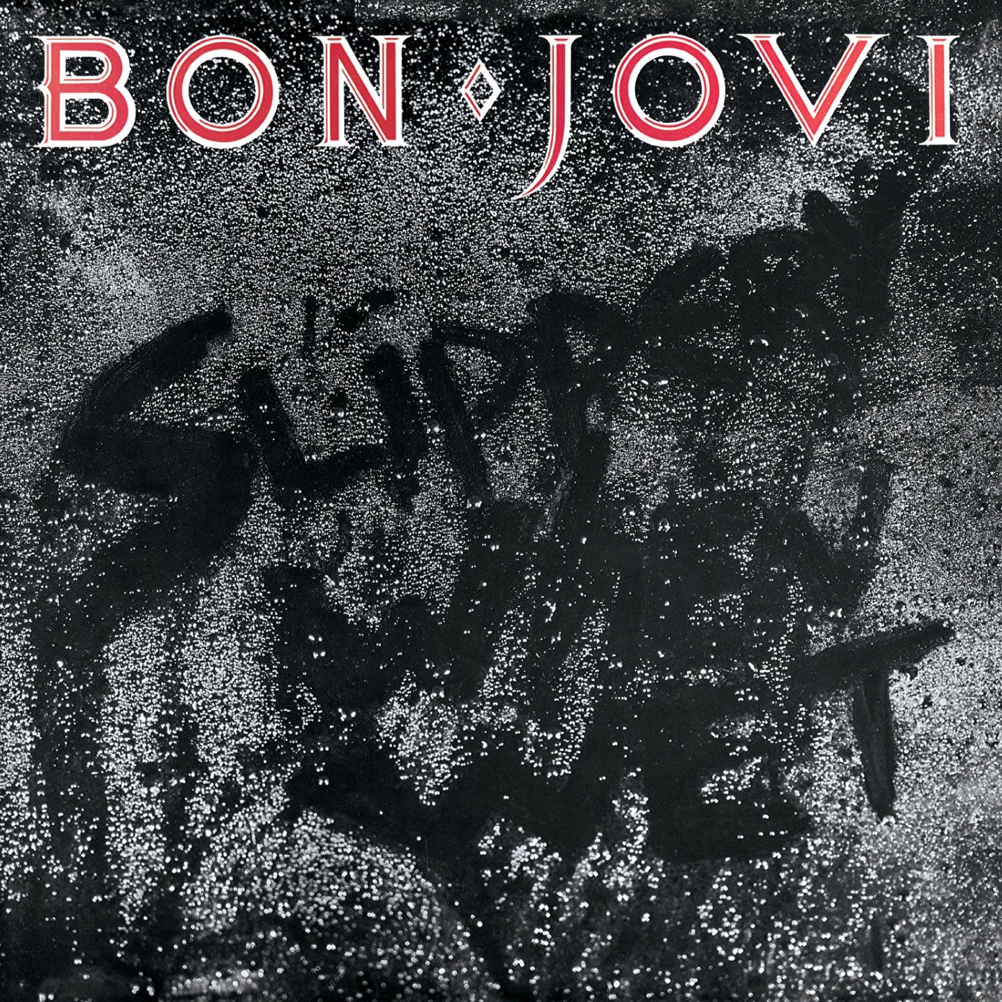 Bon Jovi Slippery When Wet - Vinyl Album & Crosley Record Storage Display Stand - Image 4