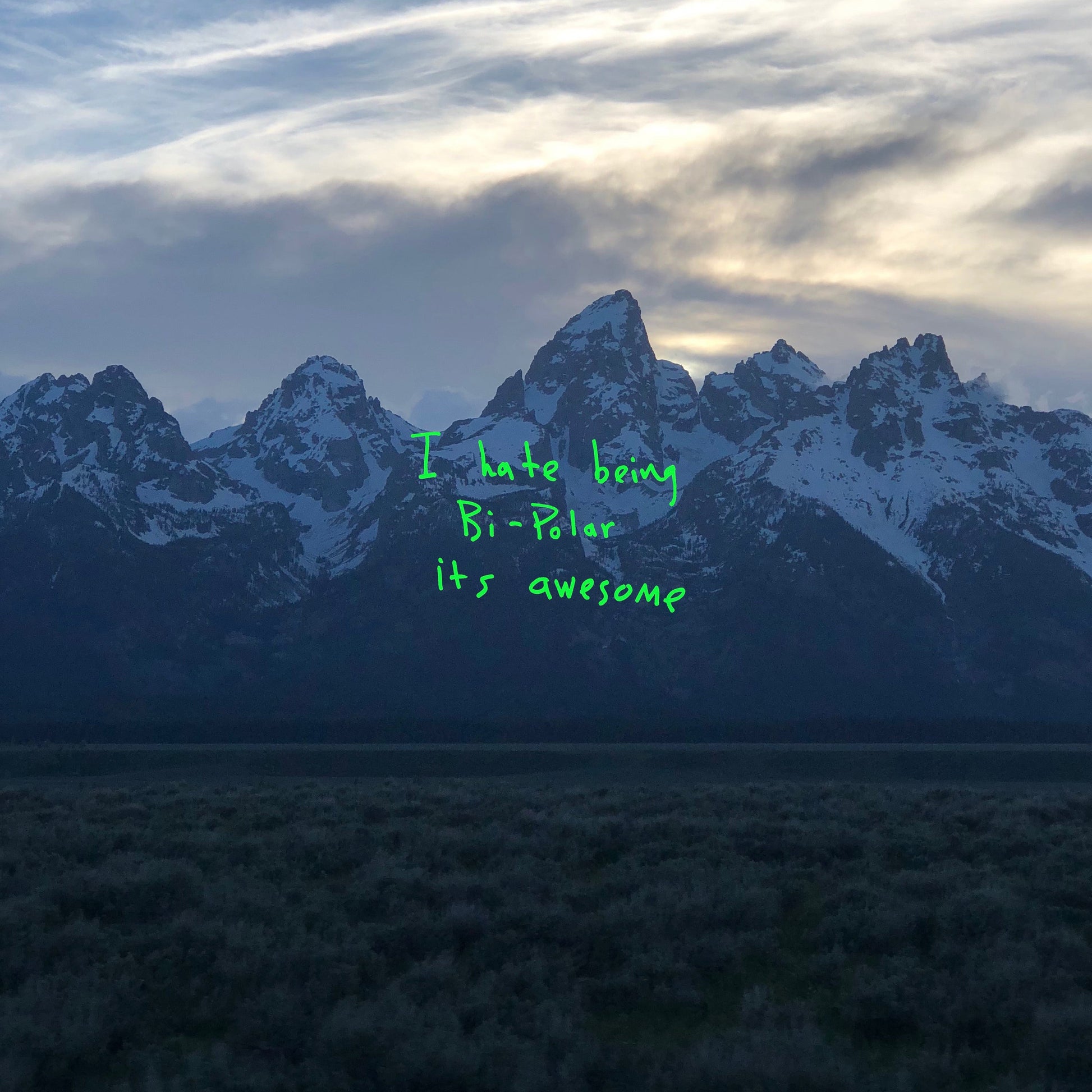 Kanye West - Ye - Vinyl Album & Crosley Record Storage Display Stand - Image 4