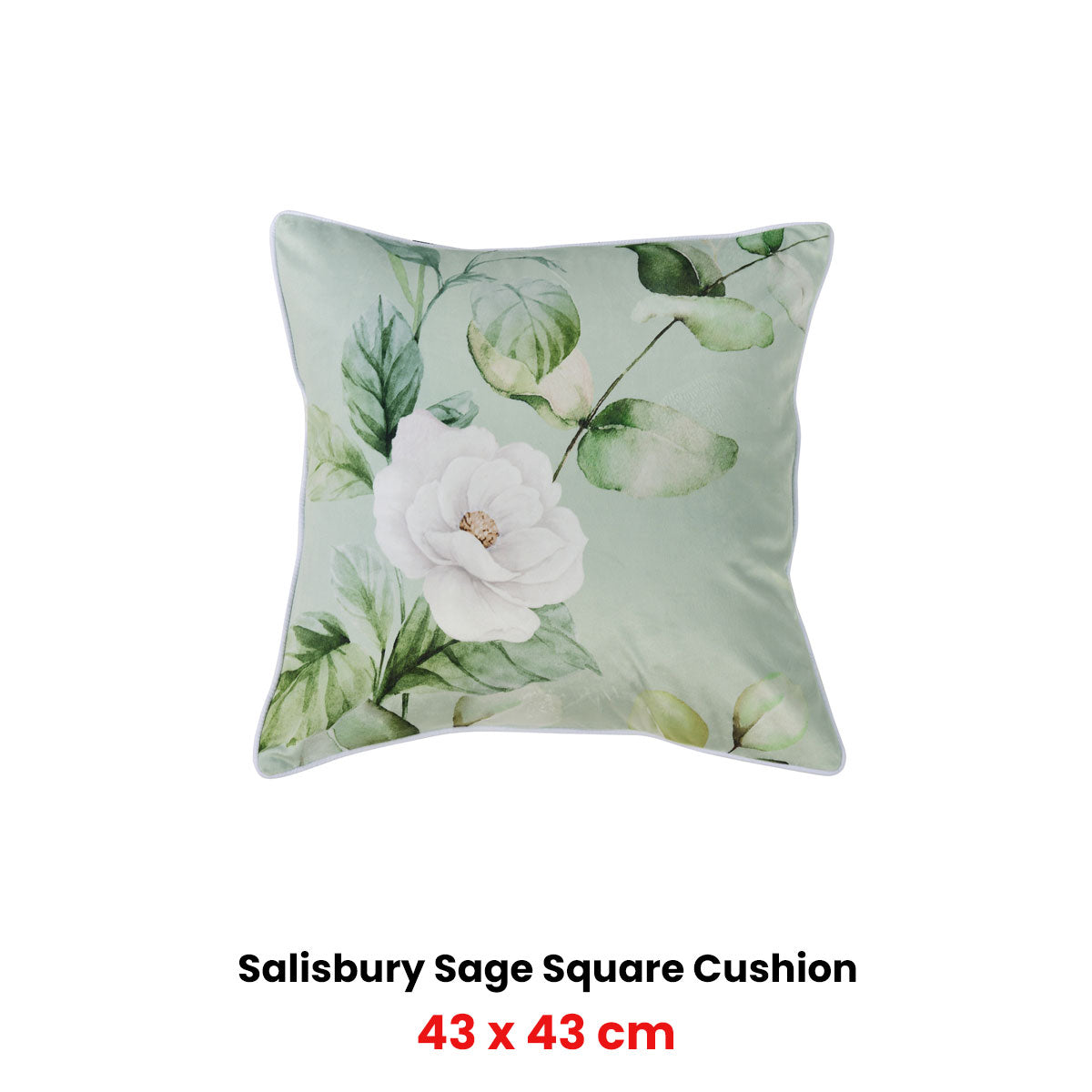 Bianca Salisbury Sage Velvet Square Filled Cushion 43 x 43cm - Image 2