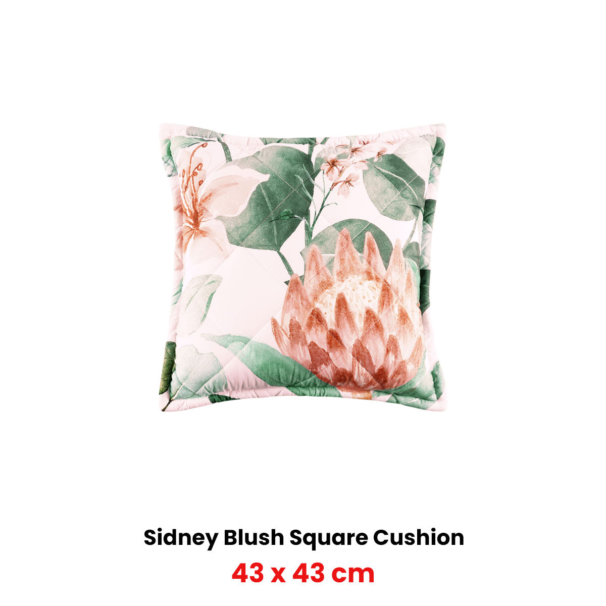 Bianca Sidney Blush Coordinate Square Filled Cushion 43 x 43cm - Image 2