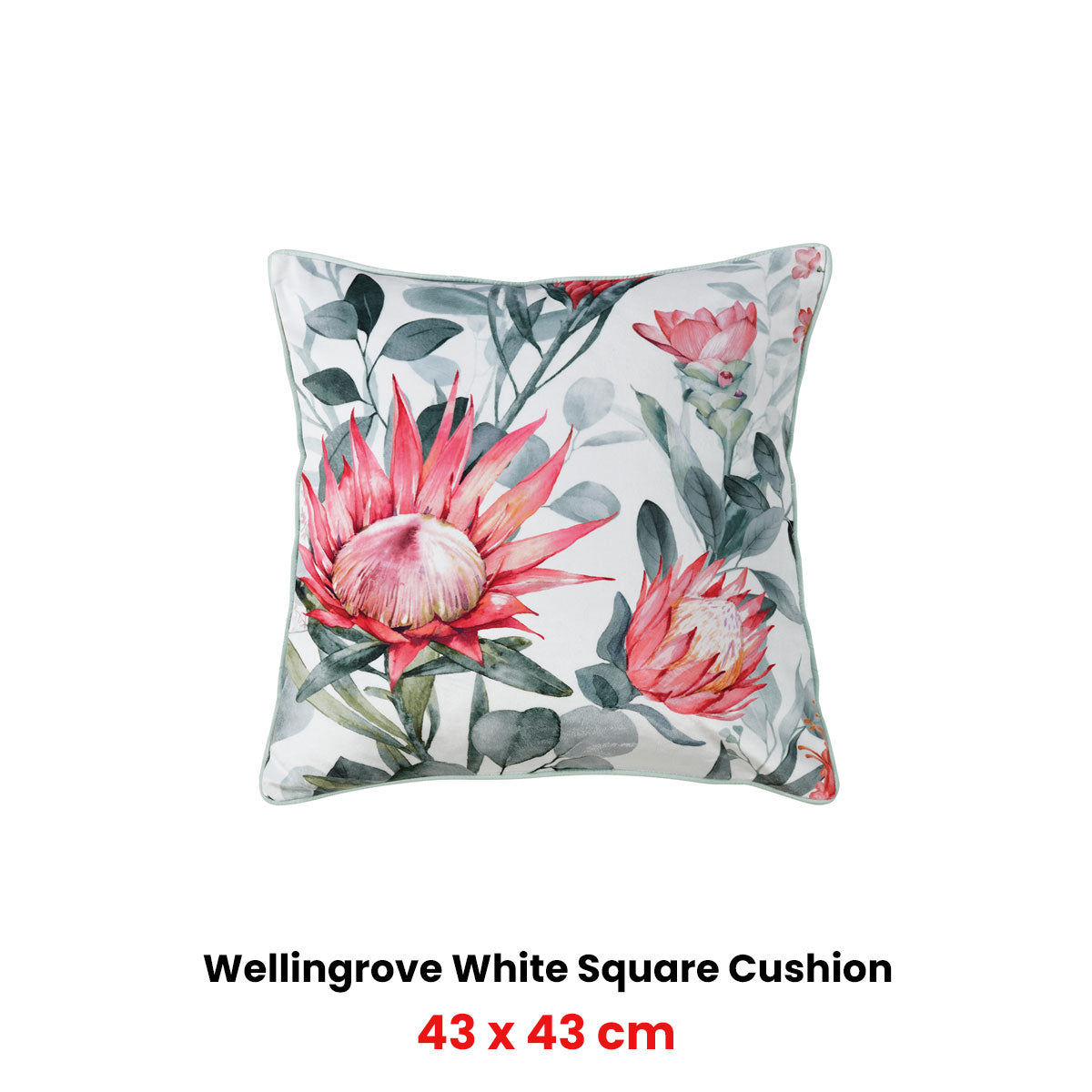 Bianca Wellingrove White Velvet Square Filled Cushion 43 x 43cm - Image 2