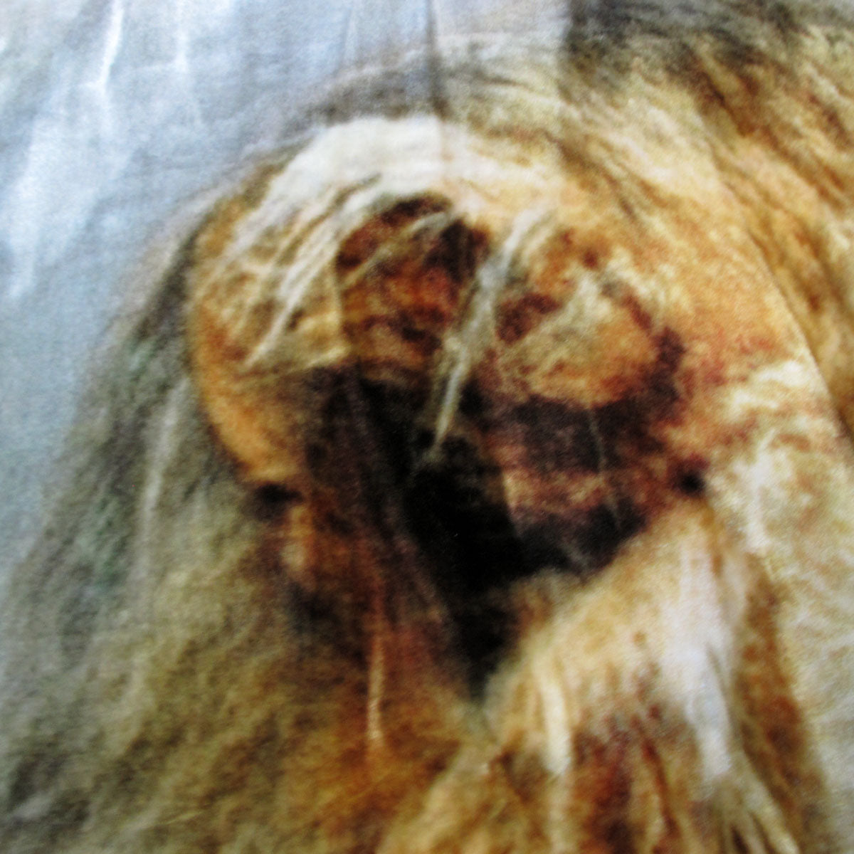 800GSM Luxury Reversible Animal Pattern Mink Blanket Queen 200 x 240 cm Lion Tiger Brown - Image 3
