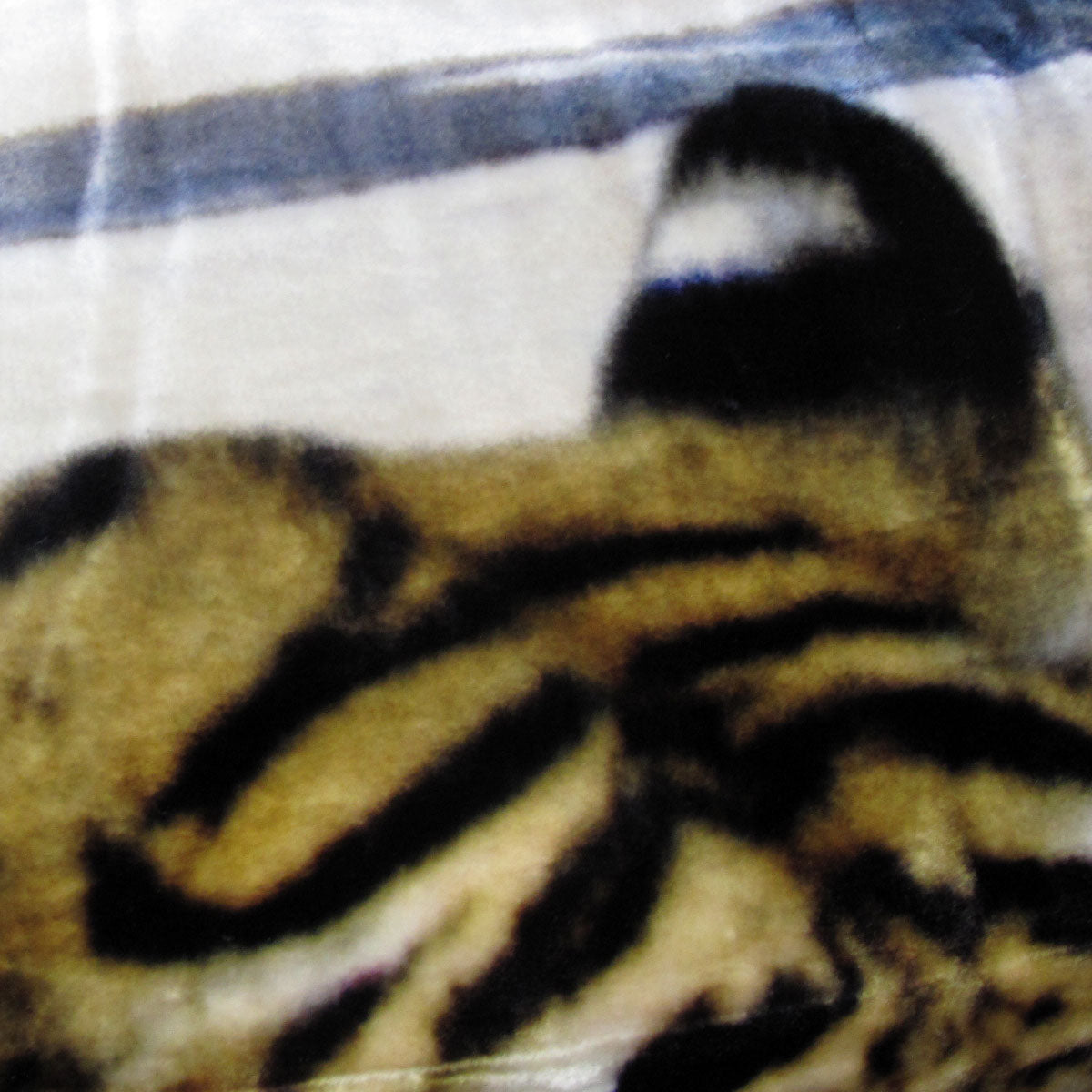 800GSM Luxury Reversible Animal Pattern Mink Blanket Queen 200 x 240 cm Three Tigers Blue - Image 4